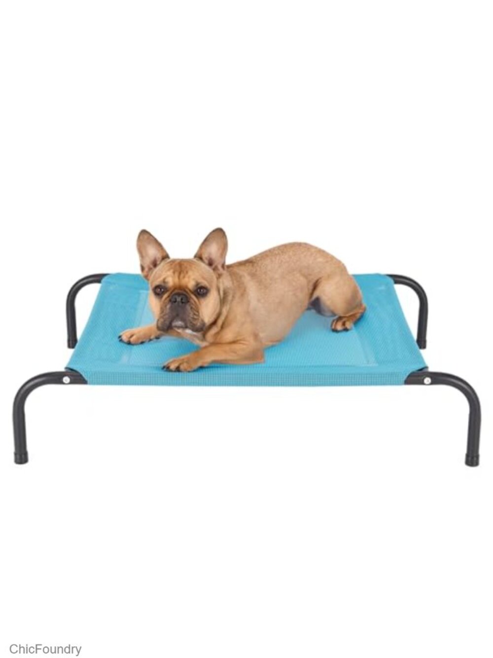 Elevated Pet Cot Hammock Bed for Small Dogs & Cats, Waterproof Nylon Mesh,